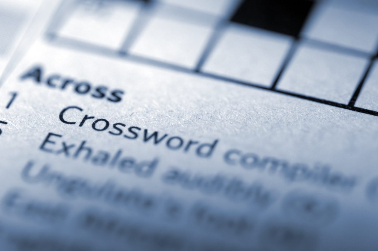 fake account nyt crossword clue
