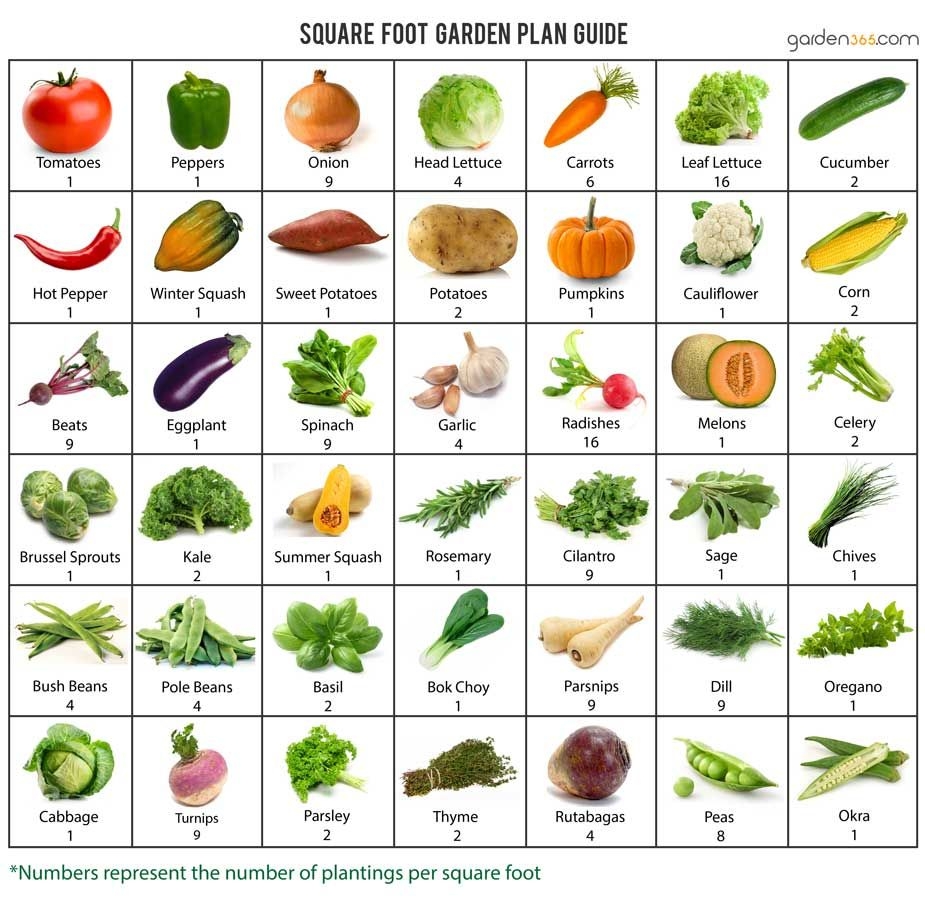 Square Foot Gardening Nourish Project