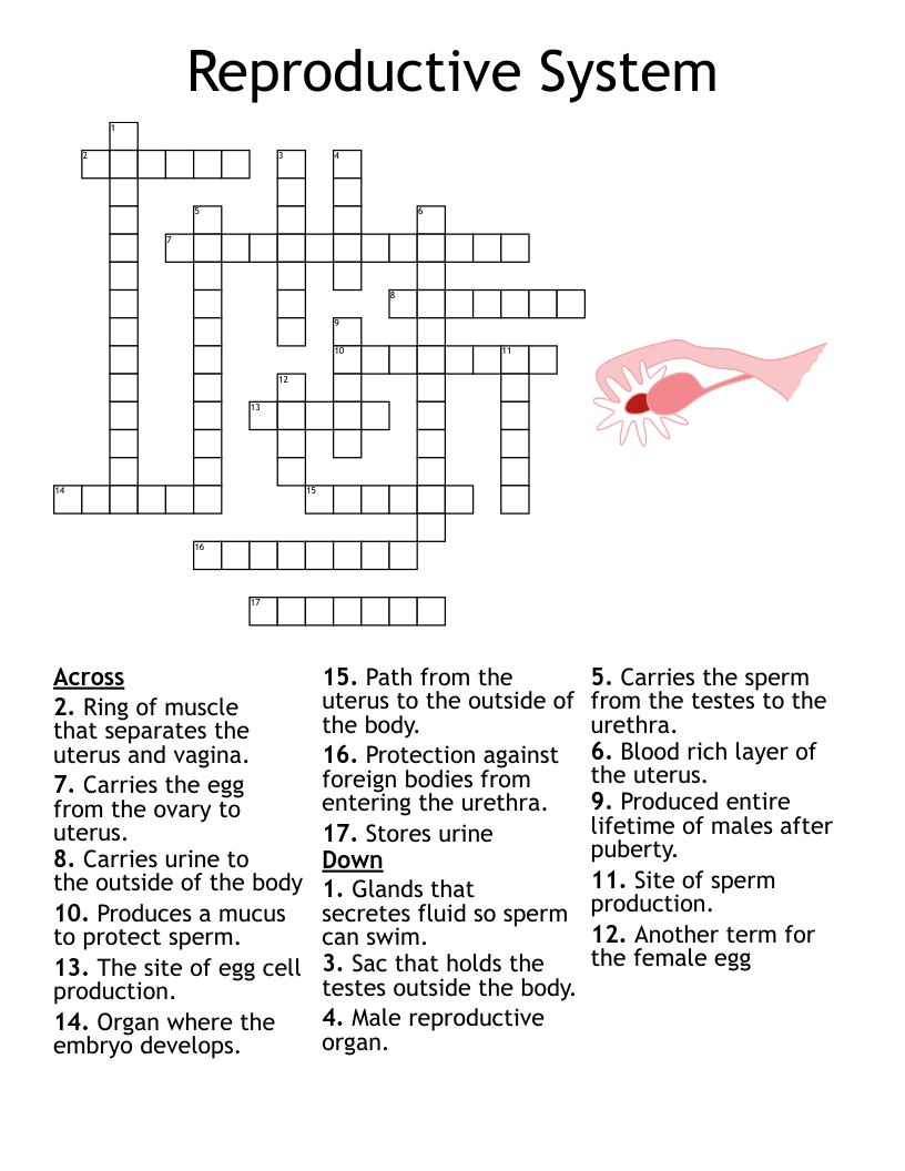 STI Crossword WordMint