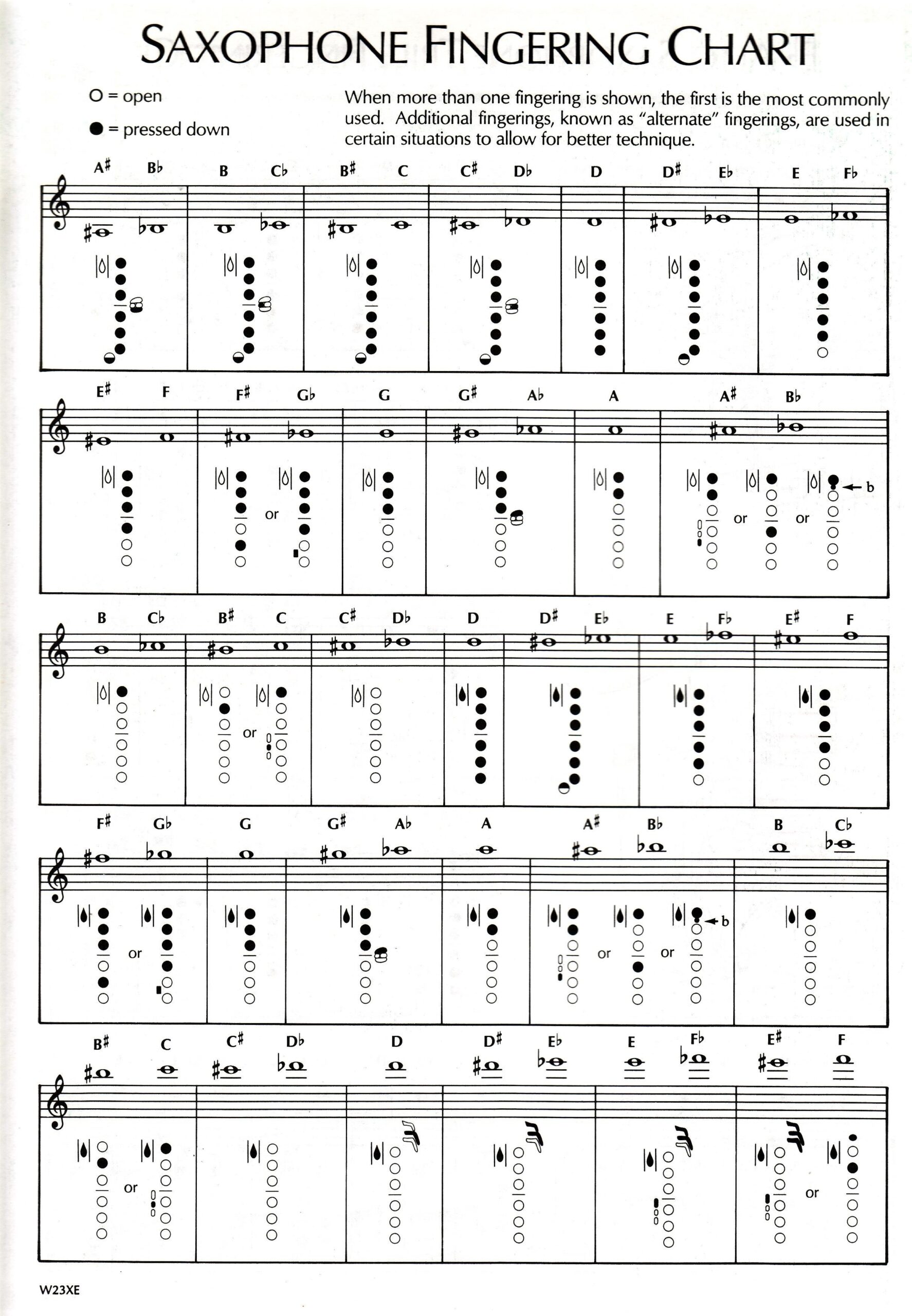 Student Resources CAREER ACADEMY INSTRUMENTAL MUSIC DEPARTMENT Student Resources CAREER ACADEMY INSTRUMENTAL MUSIC DEPARTMENT