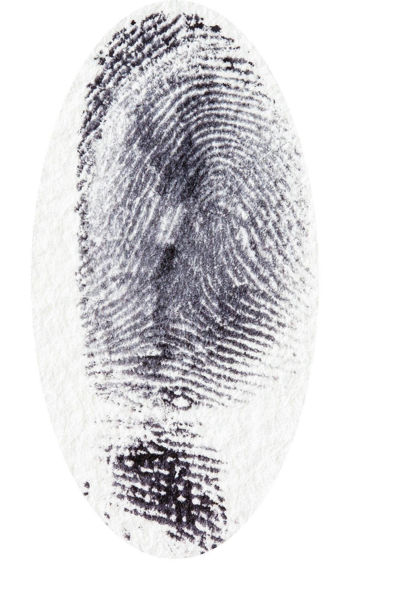 perpetrating crossword clue