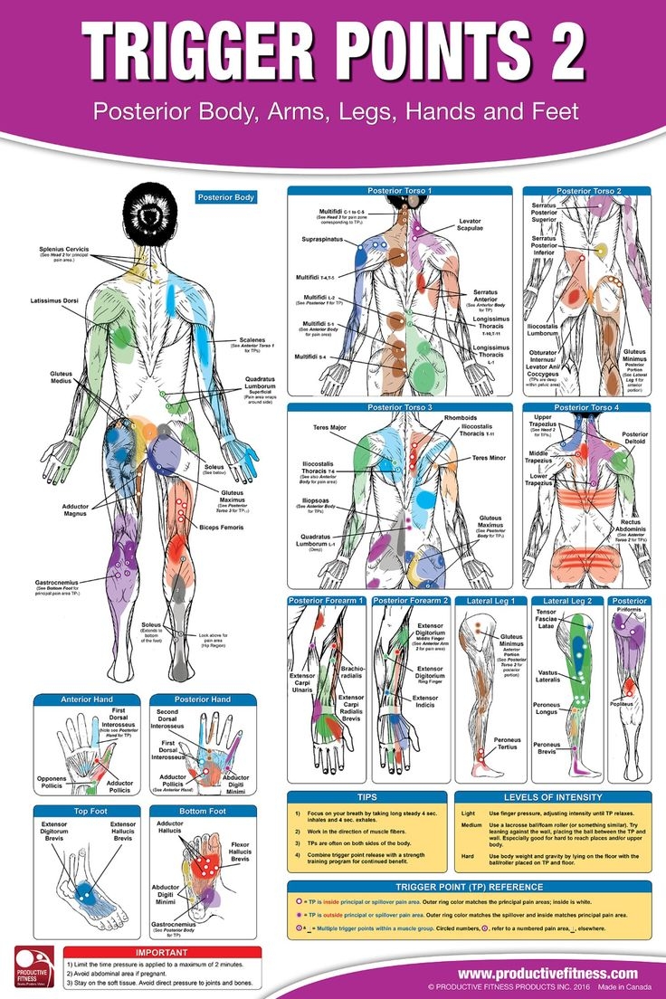 Trigger Point Therapy Chart Poster Set Acupressure Charts Myofascial Trigger Points Massage Therapy Charts Muscle Pain Relief Posters Neuromuscular Therapy Physiotherapy Charts