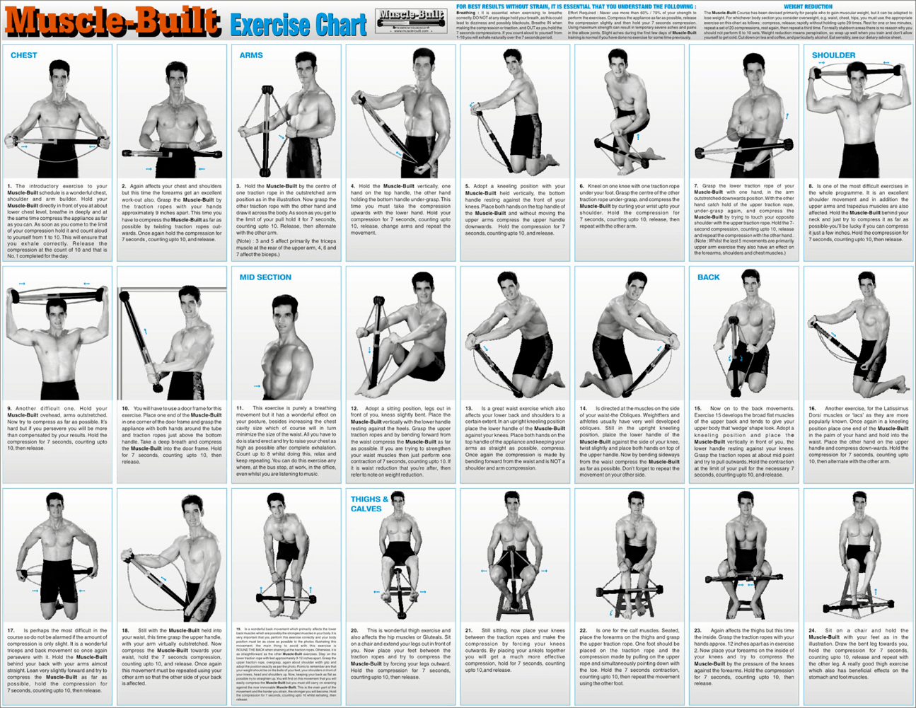 printable weider exercise chart pdf