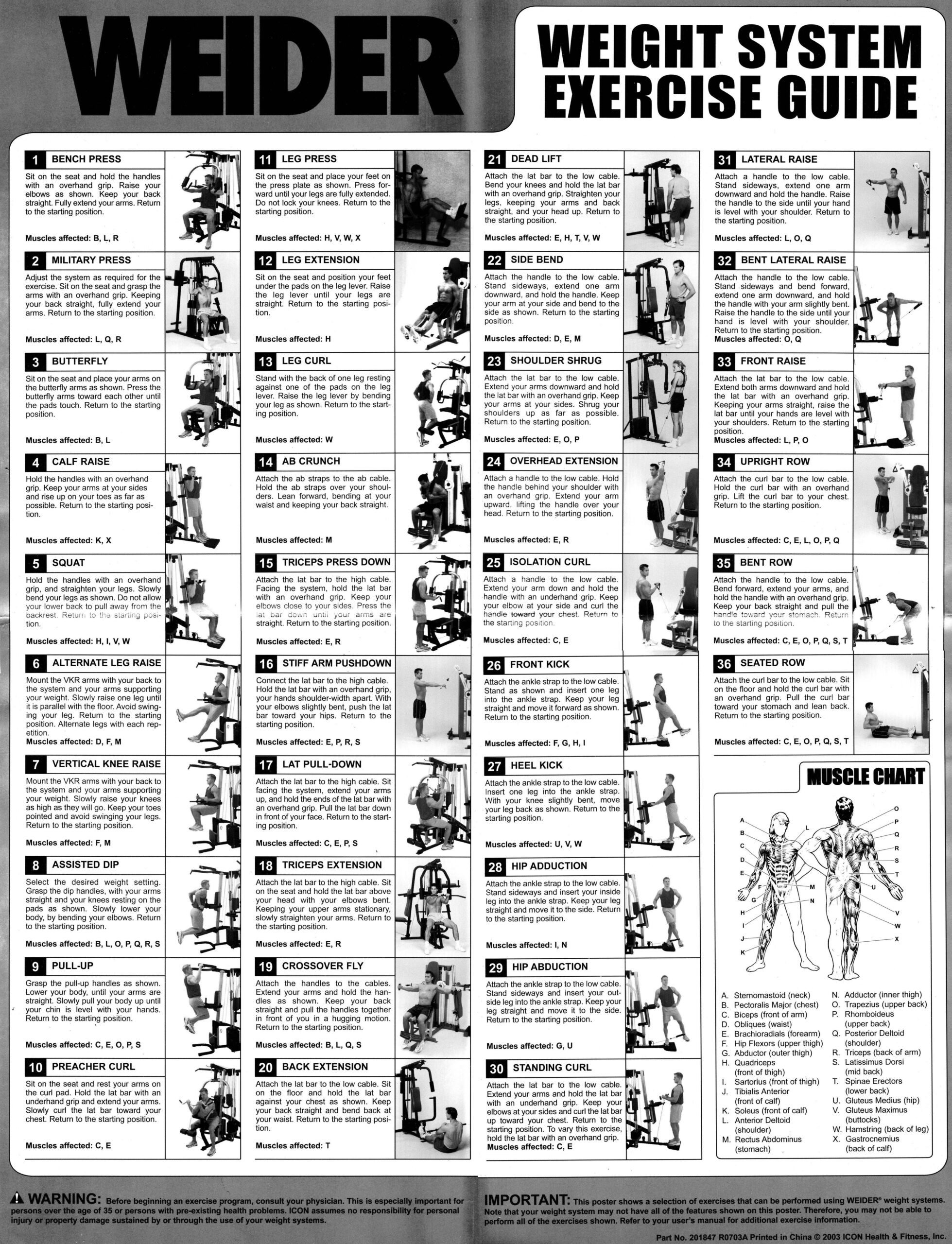Weider Pro 6900 Exercise Chart
