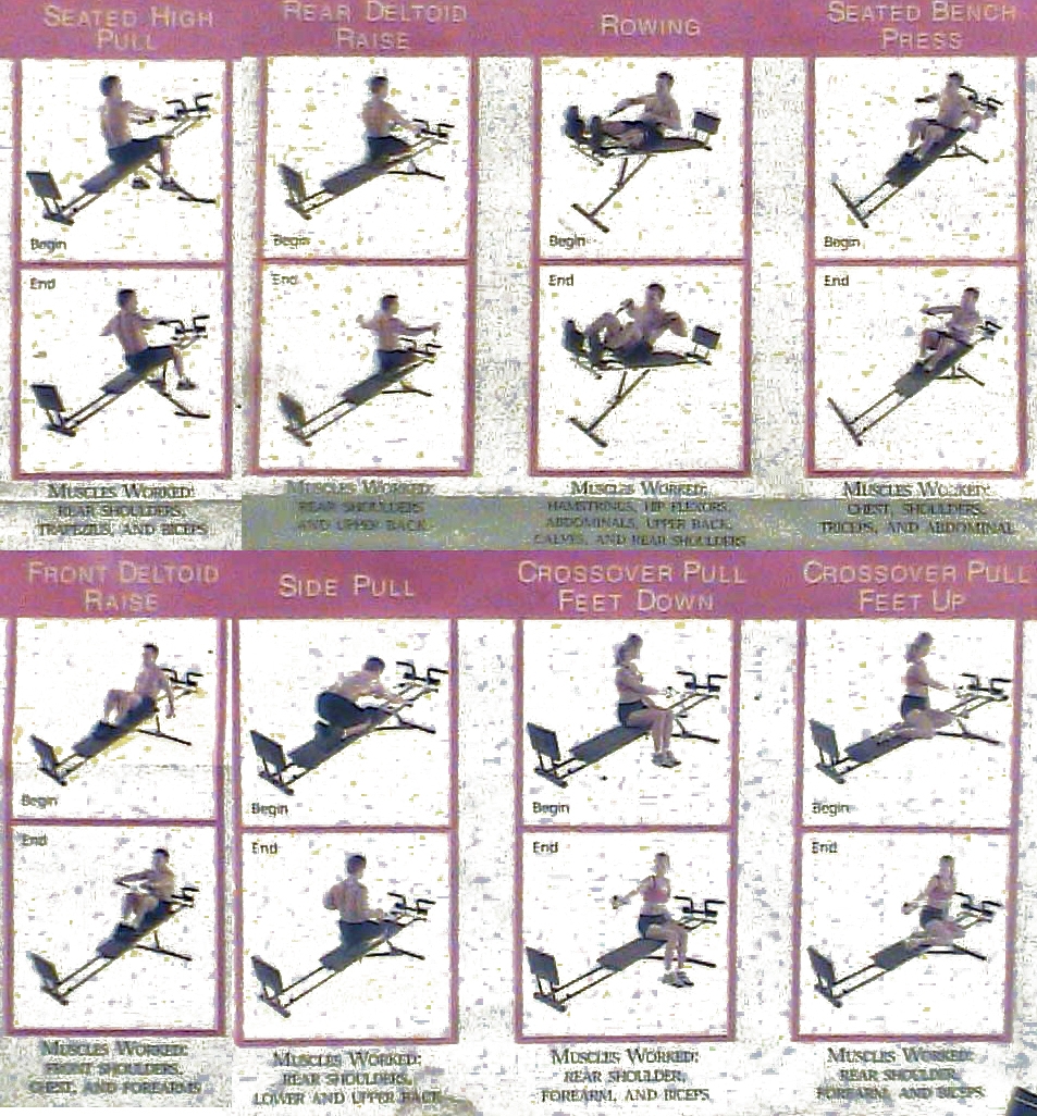 Weider Total Gym Exercises Weider Body Works Exercise Chart Pdf Weider Ultimate Body Works