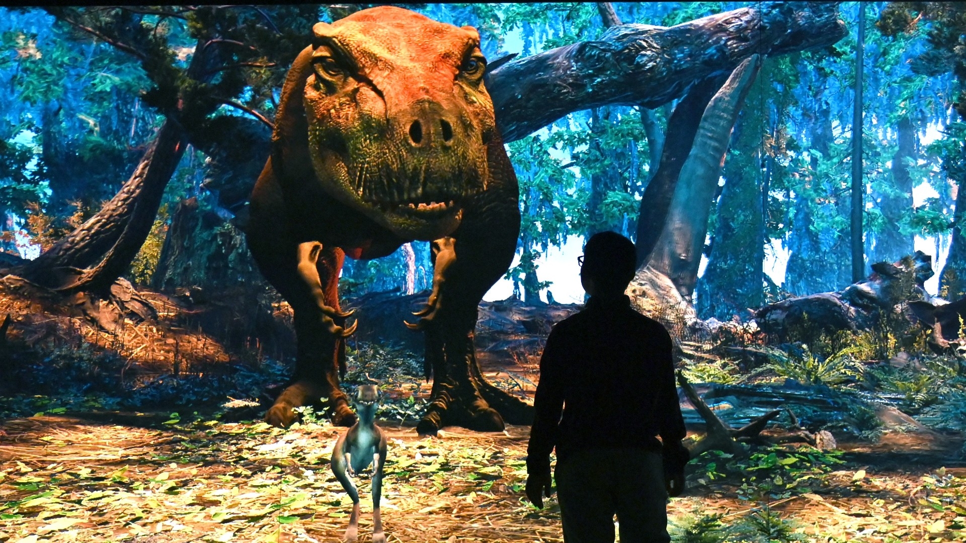 Why Don t We Have Many Giant Animals Anymore Live Science Why Don t We Have Many Giant Animals Anymore Live Science