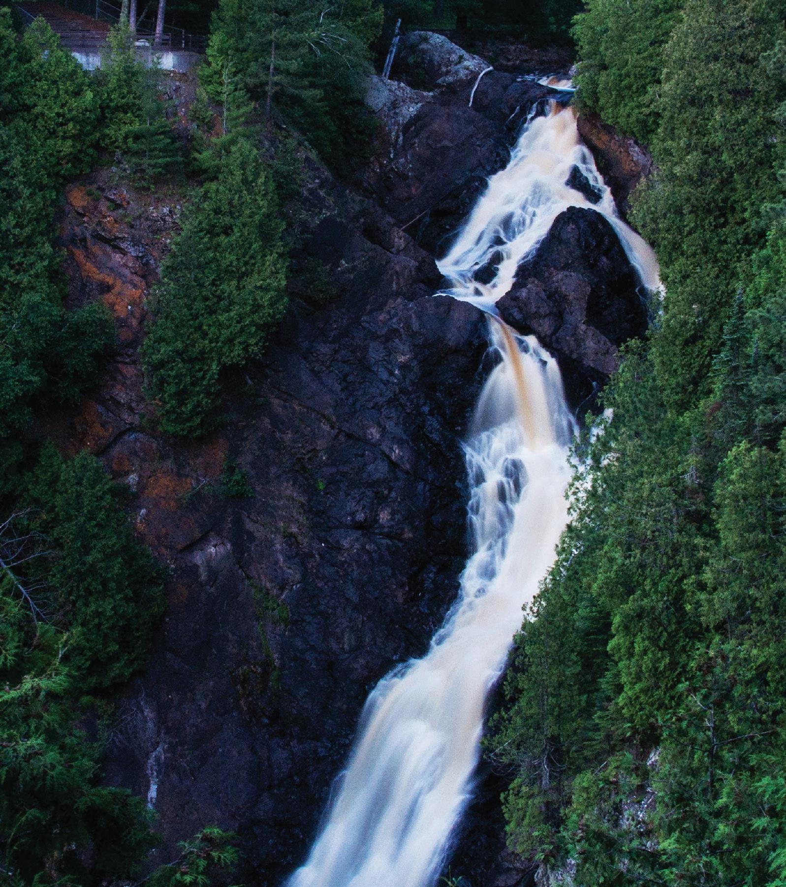 nature photography perhaps crossword clue