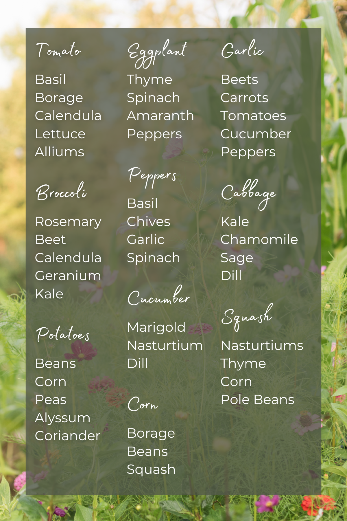 vegetable companion planting chart printable